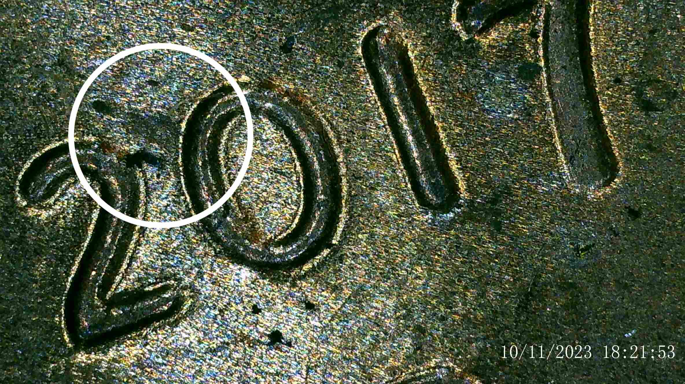 2017-P-Possible-DDO-Date-Cent